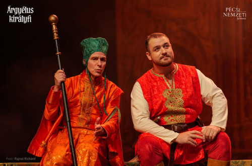 Árgyélus királyfi #9