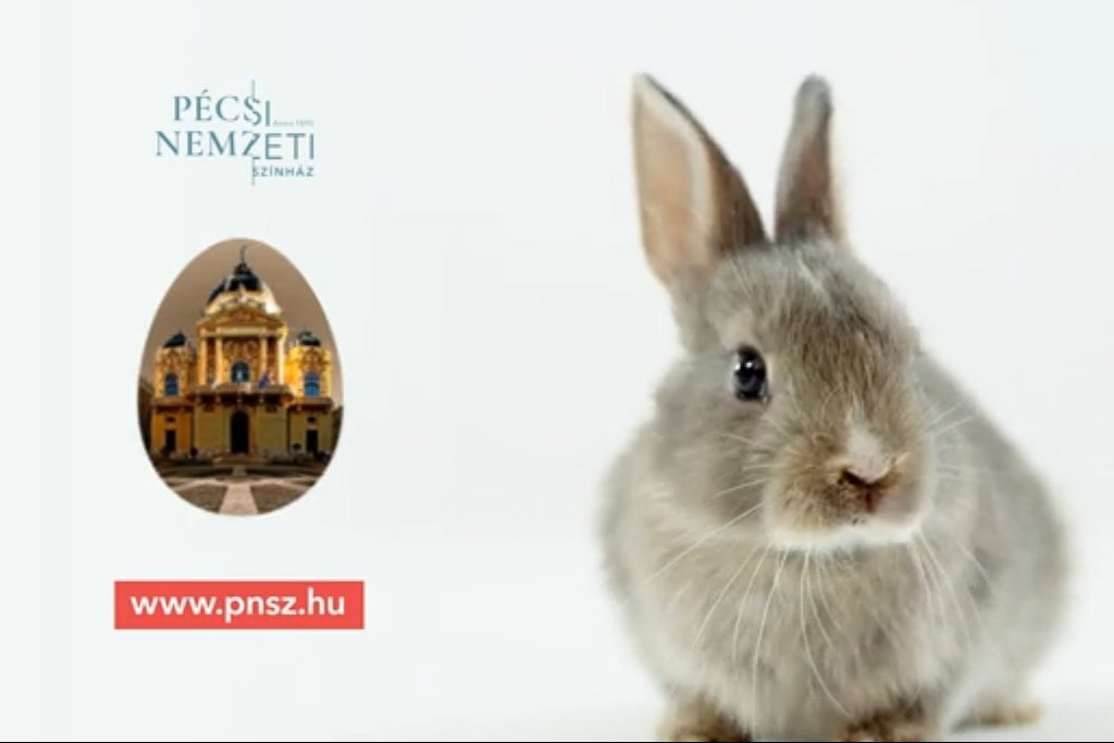 Húsvéti üdvözlet című hír kiemelt képe