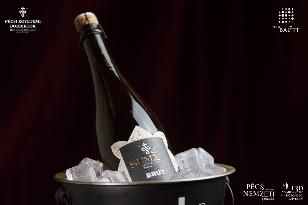 Új pécsi pezsgővel koccintott a város a Pécsi Nemzeti Színházban című hír kiemelt képe