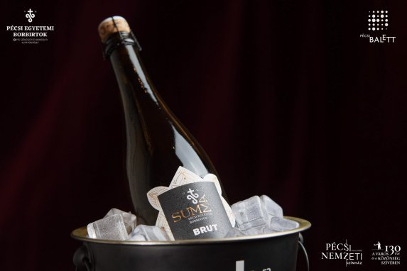 Új pécsi pezsgővel koccintott a város a Pécsi Nemzeti Színházban című hír illusztrációs képe
