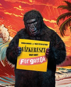 Vízkereszt vagy amit forgattok című előadás illusztrációs fotója